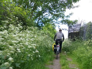 NCN1 by railway near Bourne Park