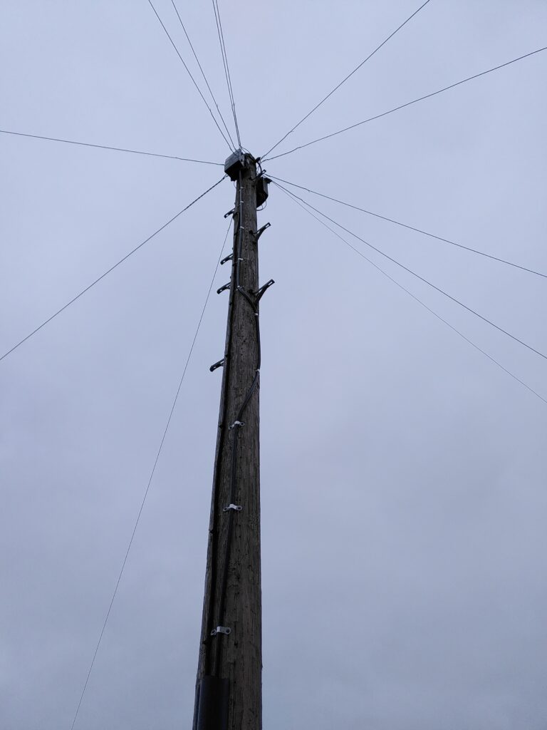 Telegraph pole showing the new fibre cable. View from the base of the pole.